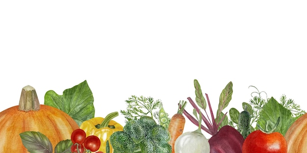 Verduras de otoño cosecha acuarela bandera borde plantas de la granja plantilla diseño del agricultor