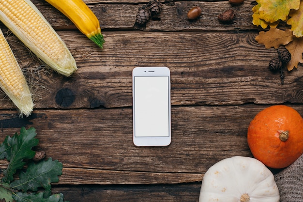 Verduras de otoño: teléfono móvil con pantalla blanca vacía, calabazas y maíz con hojas amarillas en madera