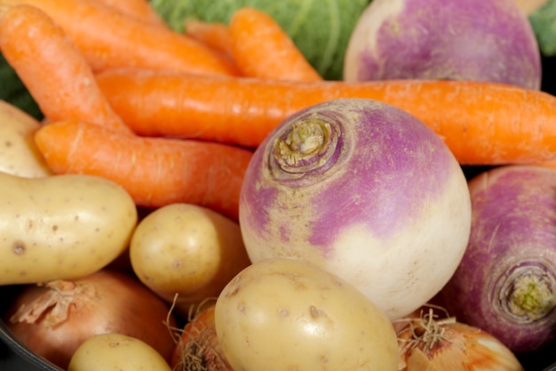 Verduras para la preparación de pot-au-feu