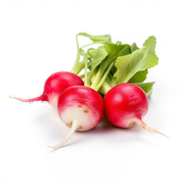 Verduras de rábano aisladas sobre un fondo blanco