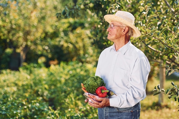 Con verduras Senior hombre está de pie en el jardín durante el día