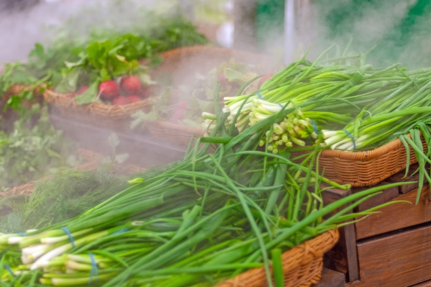 Verduras vendidas en el supermercado, manteniendo las verduras frescas con humidificador