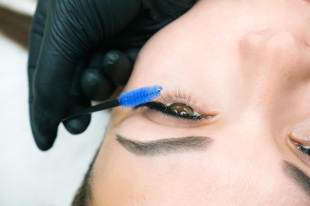 Verfahren zur Wimpernverlängerung. Frauenauge mit langen Wimpern. Nahansicht