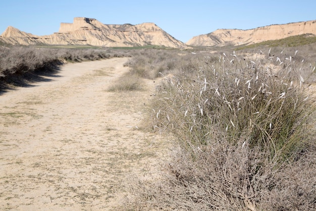 Verfolgen Sie im Bardenas Reales Park in Navarra, Spanien