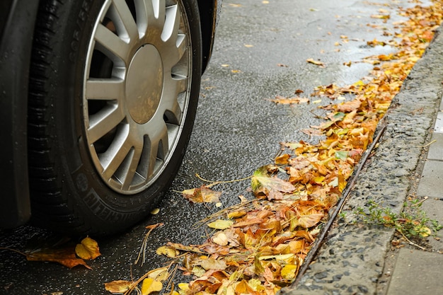 Vergilbte Herbstblätter auf der Straße in der Nähe des Autorads