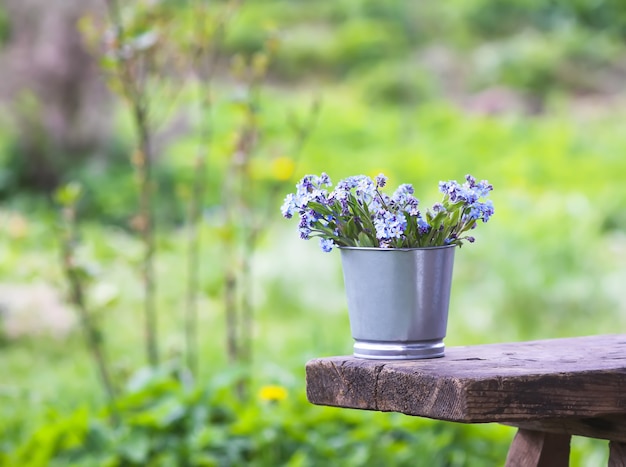 Vergissmeinnicht blauer Frühlingsgartenblumenstrauß im Freien auf der Holzbank