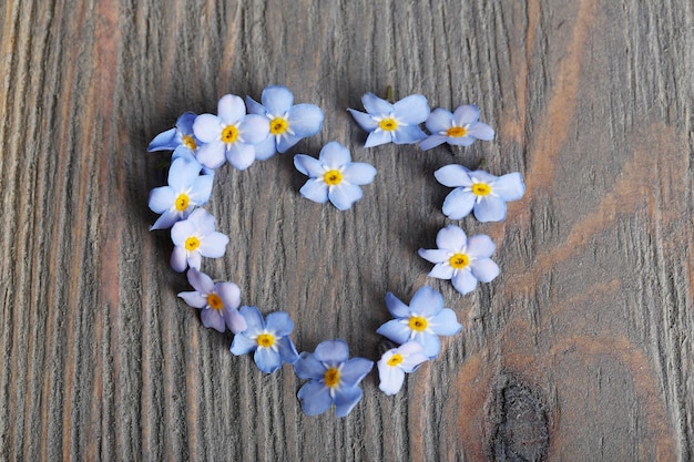 Foto vergissmeinnicht-blumen auf holzuntergrund