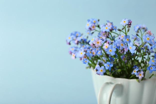 Vergissmeinnicht-Blumen in Tasse, auf blauem Hintergrund