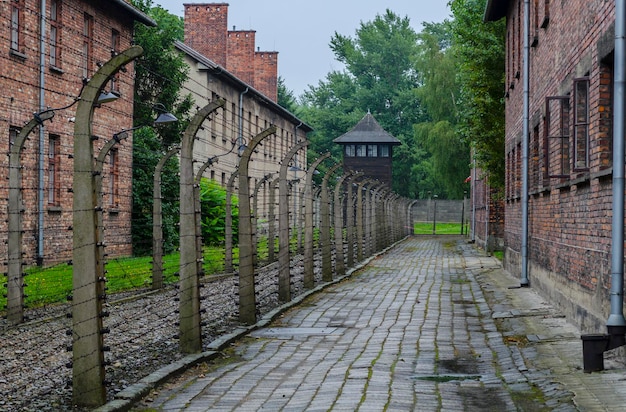 Verjas del Campo de Concentracion de Auschwitz