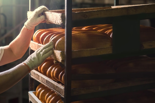 Verkäufer stellt Brot ins Regal Frische Brötchen aus dem Ofen Brot backen Transport von Backwaren