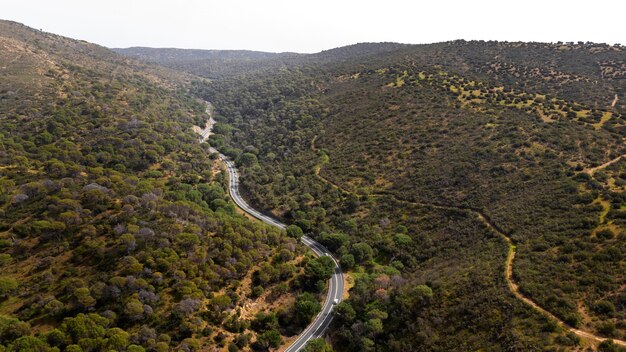 Foto verkehrskonzept mit straße und natur