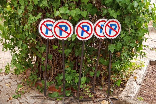 Verkehrszeichen sind verboten, in einem grünen Strauch zu parken