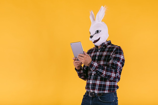 Verkleidete Person in Kaninchenmaske mit kariertem Hemd und Jeans, die auf gelbem Hintergrund auf sein Tablet schaut Karnevalsfeier Ostern und Feierkonzept