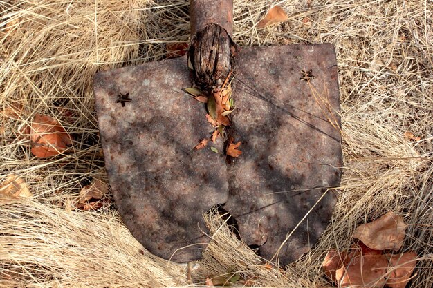 Verlassene alte Schaufel im Garten