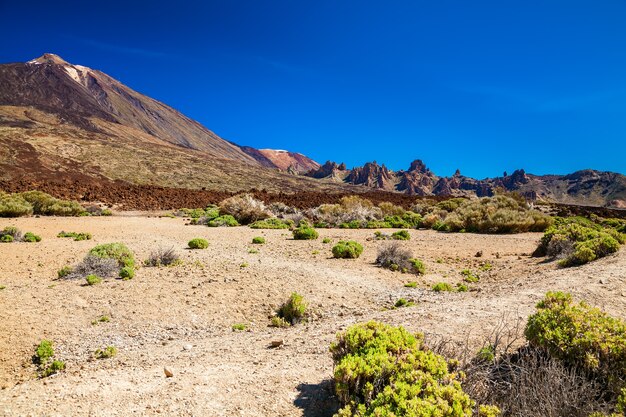 Verlassene Ansicht des Las Canadas Nationalparks mit Berg Teide, Teneriffa, Spanien