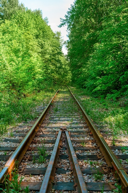 Verlassene Bahngleise im Wald