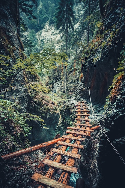 Verlassene Brücke in der Tatra, Slowakei.