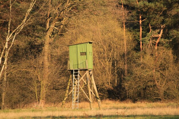 Foto verlassene hütte auf einem feld im wald