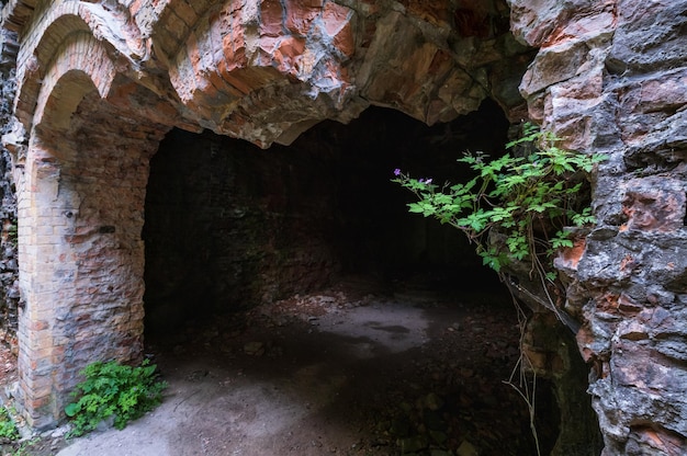 Verlassene militärische Tarakaniv Fort Keller andere Namen Dubno Fort Neue Festung Dubna eine Verteidigungsstruktur ein architektonisches Denkmal des 19. Jahrhunderts Tarakaniv Rivne Region Ukraine