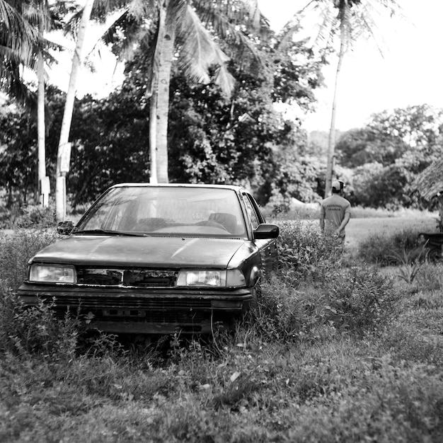 Verlassenes Auto auf dem Feld