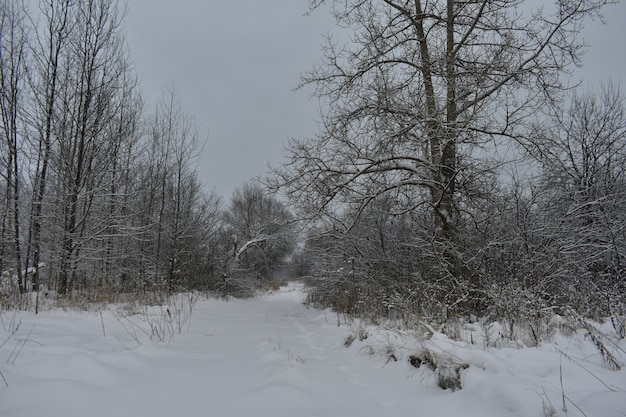 Verlassenes Dorf im Schnee im Winter