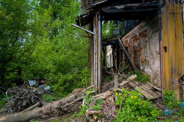 Foto verlassenes gebäude bei bäumen im wald