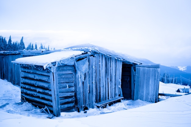 Verlassenes haus mit frost über winterwald und schneehintergrund am wintertag bedeckt. landschaft des wintermärchenland-naturkonzepts