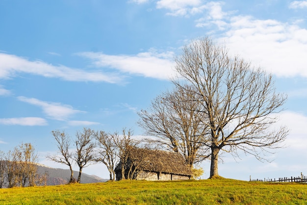 Verlassenes Holzhaus auf grasbewachsenem Hügel in der Nähe von Zaun, umgeben von kahlen Bäumen im Hochland gegen ferne Berge bei sonnigem Herbstsonnenuntergang