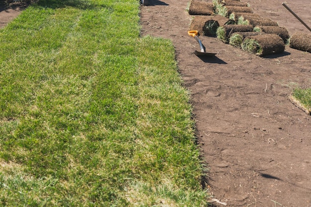 Verlegen von Soden für ein neues Gartenrasen-Verlegekonzept