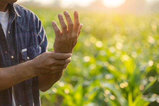 Verletzungen oder Krankheiten, die Landwirten während der Arbeit passieren können Der Mensch benutzt seine Hand, um das Handgelenk zu bedecken, weil er Schmerzen hat oder sich krank fühlt