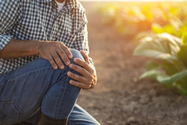 Verletzungen oder Krankheiten, die Landwirten während der Arbeit passieren können Der Mensch benutzt seine Hand, um das Knie zu bedecken, weil er Schmerzen hat oder sich krank fühlt