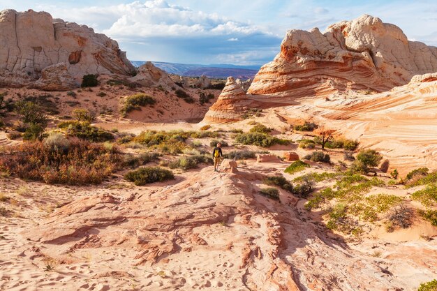 Vermilion Cliffs National Monument Landschaften bei Sonnenaufgang