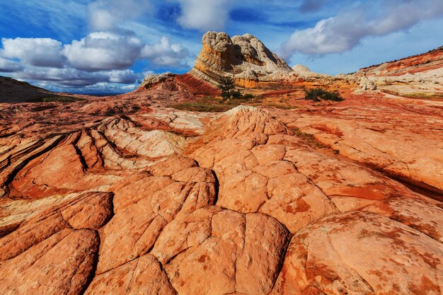 Vermilion Cliffs National Monument paisajes al amanecer.