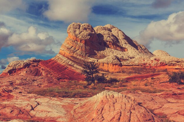 Vermilion Cliffs National Monument paisajes al amanecer.