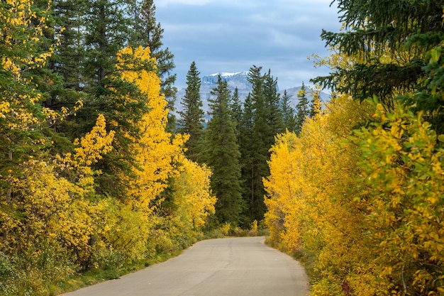 Vermilion Lakes road en la temporada de follaje de otoño día soleado Banff Legacy Trail Banff National Park