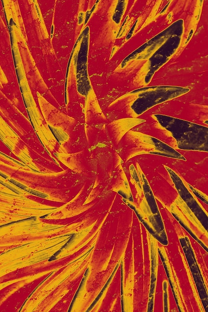 Verrückter halluzinogener Whirlpool. Abstraktion, eine Blume von roter Farbe