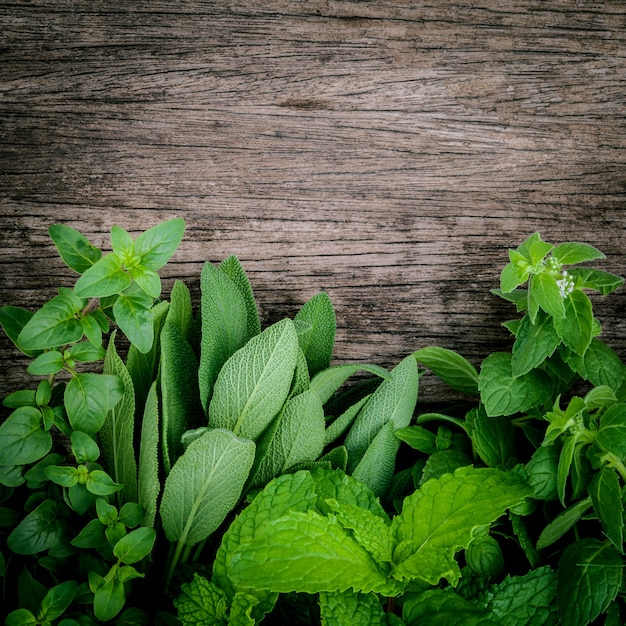 Verschiedene aromatische Kräuter und Gewürze gründen auf altem hölzernem Hintergrund.