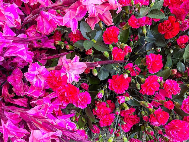 Verschiedene Arten natürlicher Blumen