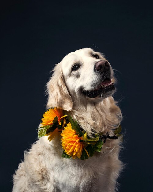 Verschiedene Arten von Hundetieren mit Fotomodellierungsaktion