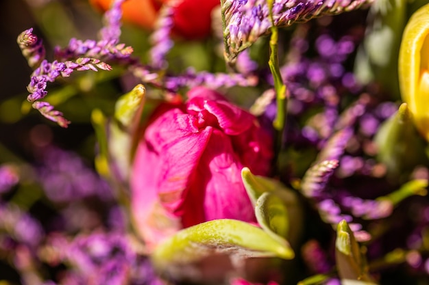 Verschiedene Blumen und Setzlinge in der Nähe des Eingangs des Floristen-Blumenladens Frühlingszeit-Osterkonzept