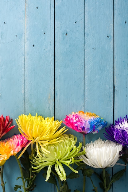 Foto verschiedene bunte blumen