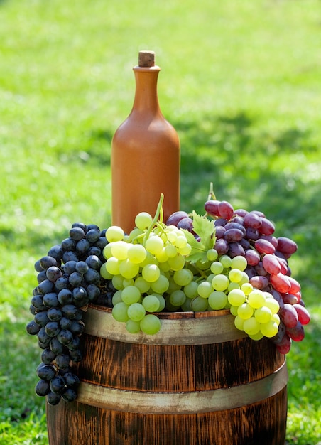 Verschiedene bunte Trauben und Weinflasche