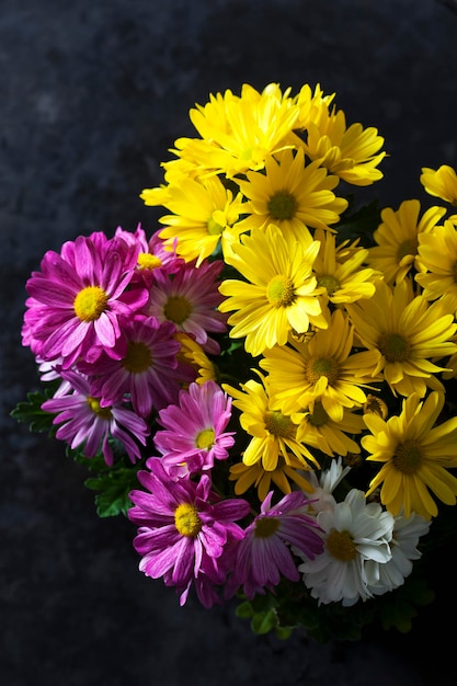 Verschiedene Chrysanthemen auf dunklem Grund