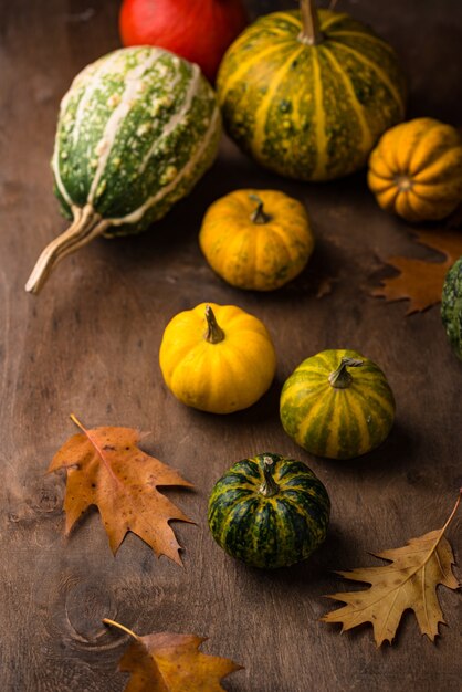 Verschiedene dekorative Kürbisse Herbstkonzept