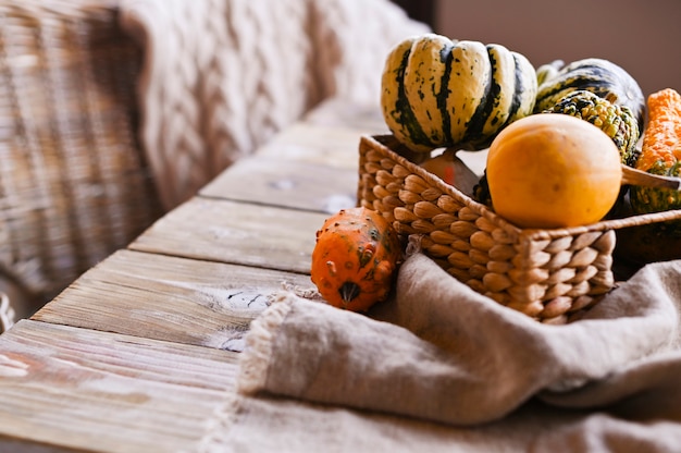 Verschiedene erntedank-mini pumpkins auf einem rustikalen holztisch.