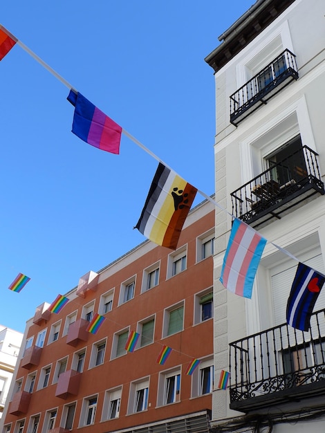 Verschiedene Flaggen bespannten schwulenfreundliche Gebäude im Chueca-Viertel Madrid Spanien LGBTQ-Gemeinschaftssymbole