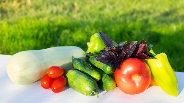 Verschiedene Gemüse im Garten angebaut