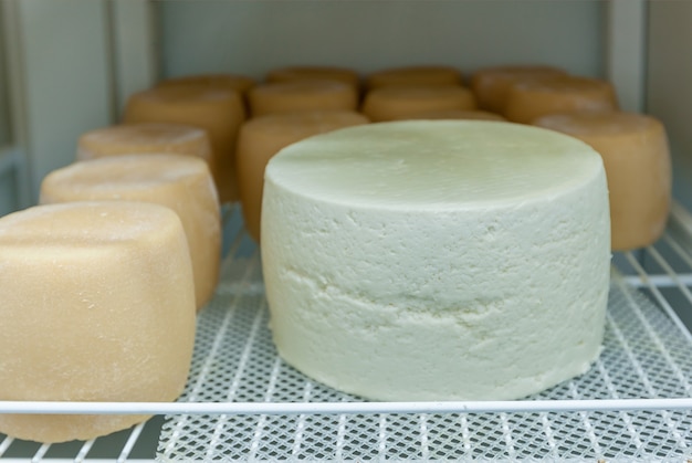 Verschiedene Käsesorten in den Regalen eines Kühlschranks in einer Käserei