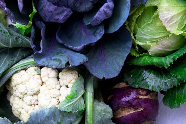 Verschiedene Kohl-Brokkoli-Blumenkohl,