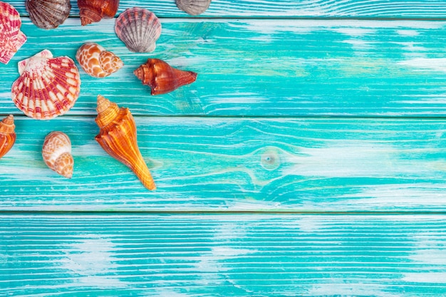 Verschiedene Muscheln auf Holztisch